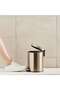 Roman Soft Close Metal Pedal Bin With Fingerprint Resistant 20l 36x30.2x44cm - Metallic Gold - 4