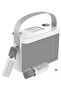 Karaoke Machine with 2 Wireless UHF Microphones – Portable Bluetooth Speaker System