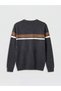 Lcwaikiki Classic Anthracite Crew Neck Striped Men's Knitwear Sweater - 6