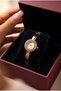 Diana Women's Steel Watch Gold Color & White Dial Minimal Vintage Old Money Elegant Stylish Luxury Roman Numeral Women's Wristwatch 2026 - 7