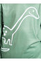 Boys Dino Print Long Sleeves T-Shirt and Straight Leg Pyjama Set - 4