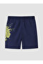 Two Mt Shop Quality Lcw Kids Navy Blue Printed Boys' Swimming Shorts - 4