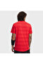 Velociti Men's Red Polo Collar T-Shirt - 2