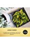 Hey! Broccoli Crisps (20g) - 6