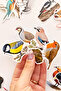 Anatolian Birds 25 Piece Sticker Pack Waterproof Laptop Thermos Phone Sticker Set - 7