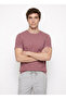 Burgundy Men's Slim Fit Melange T-Shirt Ace091262933