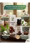 100% Pure Anise Oil 10 ml - Relaxing Aromatherapy, Digestive & Hair Care Oil - 4