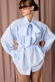 Fular Detail Pleated Shirt - 3