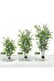 with 1pcs Plastic Artificial Banyan Tree - Stylish, Practical, Cost-effective, Affordable - 3