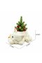 Marketplace Peek A Boo Cat Cartoon Flower Pot Polyresin Cute Cat Succulent Planter Adorable Animal Vase Decorative Desk Flower Pot Pen Pencil Holder Propagator Kit for Indoor Outdoor Home Office Decor - 5