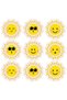 Warm Sunshines Sticker Set Emoji Agenda Teacher Reward Sticker School Achievement Sticker Nsti0242 - 2