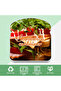Reusable PP sandwich boxes (4-pack) - 2