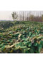 Green camouflage mesh rectangular sunshade sail, 3x6 meters, camouflage pattern. - 2