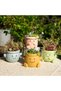 Cute smiley face flower pot, small resin human head flower pot, for indoor plants, fun smiley face flower pot, succulent plant pot