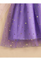 Girls Purple Mesh Tulle A-Line Dress - 6