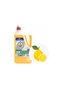 CITRINE SUDOR DE VASE EFFICIENT 5L - 4