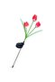 Tulip solar garden light 3 bulbs red. - 3