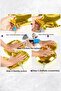 Hologram Bow Foil Balloon - 5
