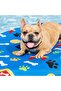 Fetchin' Fun Pet Pool Float - 6