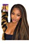 Braids color 1 and 27