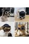 XS Dog Goggles with Helmet, 2-Piece Set, Anti-UV Protective for Cat Motorcycle Outdoor Head & Eyes Protection, White