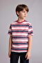 100% Cotton New Regular Fit Crew Neck Striped T-Shirt for Boys H4343A826Hs - 4