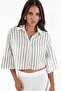 Bdart Buttoned, Cropped , Oversized Striped Shirt