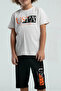 4-15 Years Old Licensed Us Polo Assn Boy's Team-Stone - 3