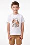Tiger Printed Crew Neck Boys' T-Shirt - 2