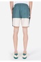 Slim Fit Men's Woven Multi-Colored Swim Shorts - 2