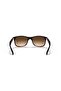 Rb 4202 607313 55 Men's Sunglasses - 4