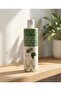 Rosemary Extract and Medical Mint Shower Gel - 400 ml (Alcohol/Sls/Sles Free) - 7