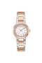 Dk1L024M0175 Women Wrist Watch