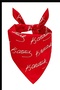 Ataturk Signature Bandana April 23, October 29, August 30, May 19 Scarf Ceremony