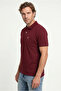 Polo Neck Regular Fit Embroidered Cotton T-Shirt - 2