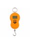 Electronic Hand Scale with Hook, 50 kg, Digital, LCD Display, Loud Function, Portable