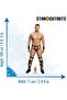SC4408 The Miz WWE Cardboard Cut Out Height 189cm - 2