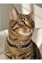 Silver Pearl Bow Cat Dog Neck Collar Cat Dog Leash Accessory Luxury Pet Collar - 5