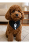 Adjustable Tuxedo Model Cat Dog Bandana - 2