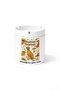 Animal Rhodesian Ridgeback African Lion Dog Printed Ashtray Ashtray Gift