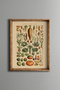 Botanical Vegetable Collection - Vintage Patterned Frame - Slim Model