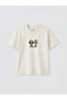 Lc waikiki crew neck printed boys' t-shirt