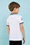 Embroidery Detail Polo T-Shirt with Short Sleeves - 4