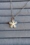 Pearlescent Zircon Stone Starfish Model 316 L Steel Necklace - 4