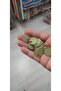 Khaki Color Bag Stamp with Sequins 20 Grams 2 cm Diameter