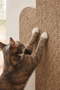 Beige Color 100% Organic Cotton Thread Sewn Cat Scratching Mat Natural Non-Disassembled Pet-Friendly