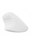 MOUSE WIRELESS VERTICAL CRAKE 2 2400DPI BLUETOOTH 5.2 + 2.4GHZ - 5