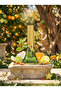 Aristo Splendour - 4