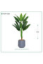 Artificial paradise pigeon paper tree with plastic basin - 5
