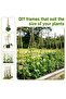 FFD 2pcs Natural Bamboo Plant Stakes - Durable Garden Support Poles for Climbing Plants - 4